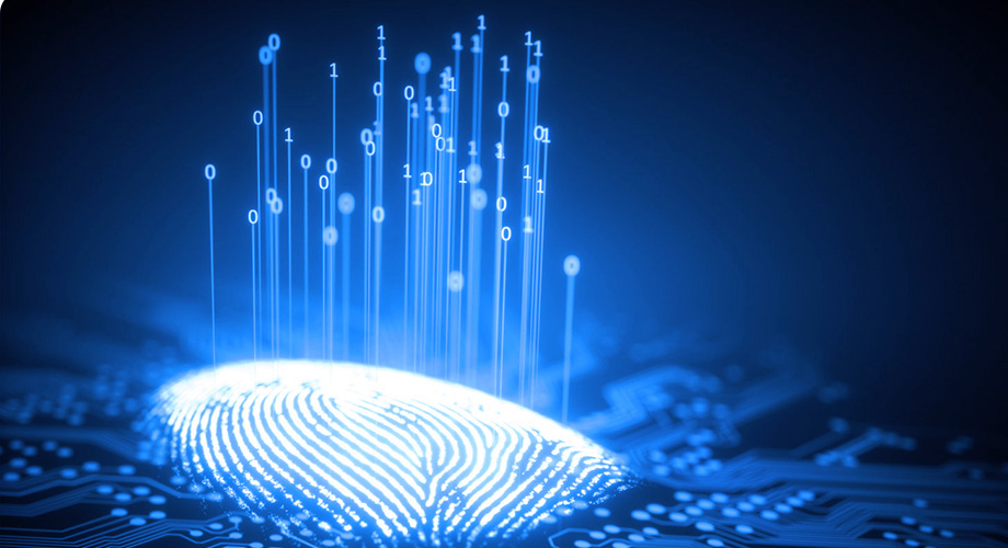 yl23455永利(中国集团)有限公司